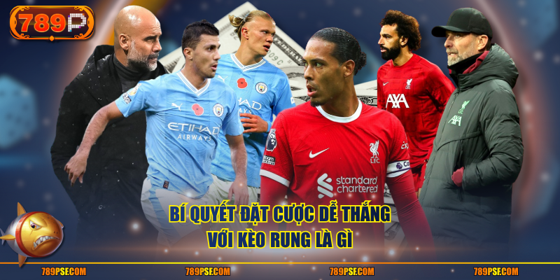 Bí quyết đặt cược dễ thắng với kèo rung là gì