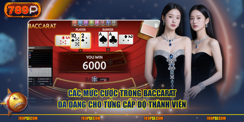 Các mức cược trong baccarat đa dạng cho từng cấp độ thành viên