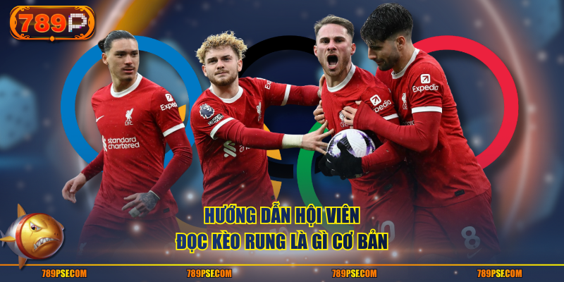 Hướng dẫn hội viên đọc kèo rung là gì cơ bản